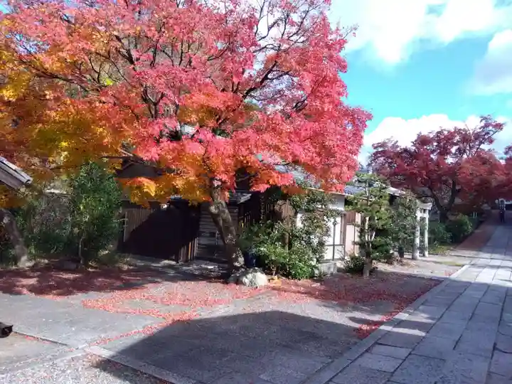 養源院(京都府)