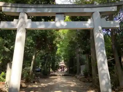 代々木八幡宮の鳥居
