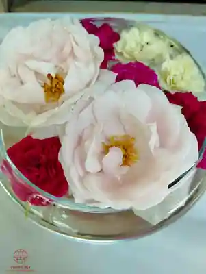 立志神社(滋賀県)