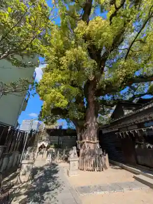 楠霊神社の{uncategorized: "未分類", other: "その他", undefined: "問題あり", building: "その他建物", grave: "お墓", sacred_gate: "鳥居", guardian: "狛犬", statue: "像", buddha: "仏像", history: "歴史", nature: "自然", garden: "庭園", animal: "動物", pagoda: "塔", temizu: "手水舎", mountain_gate: "山門・神門", sanctuary: "本殿・本堂", subordinate: "末社・摂社", art: "芸術", scenery: "景色", jizo: "地蔵", ema: "絵馬", goshuin: "御朱印", omikuji: "おみくじ", items: "授与品その他", amulet: "お守り", goshuincho: "御朱印帳", eats: "食事", festival: "お祭り", votive_dance: "神楽", shichigosan: "七五三参", wedding: "結婚式", experience: "体験その他", initially: "初詣", around: "周辺", anti_infection: "感染症対策"}