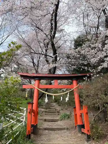 蓮神社の鳥居