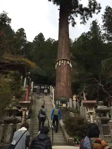 由岐神社のその他建物