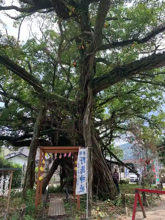 野島神社の自然