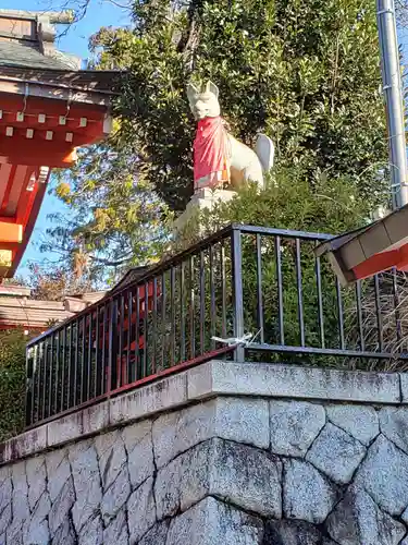 東伏見稲荷神社の狛犬