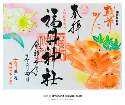 福井神社の御朱印