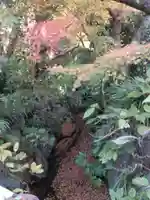 明月院(神奈川県)