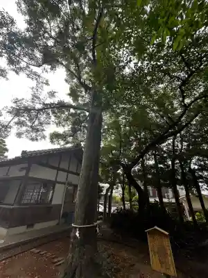 濱宮(和歌山県)