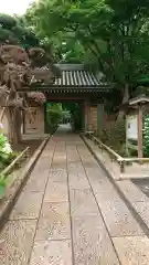 報国寺の山門