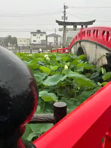 青井阿蘇神社(熊本県)