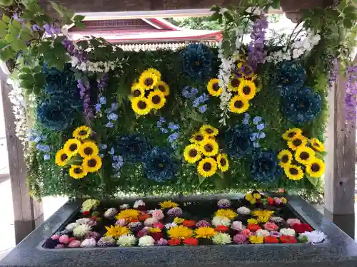金蛇水神社の{uncategorized: "未分類", other: "その他", undefined: "問題あり", building: "その他建物", grave: "お墓", sacred_gate: "鳥居", guardian: "狛犬", statue: "像", buddha: "仏像", history: "歴史", nature: "自然", garden: "庭園", animal: "動物", pagoda: "塔", temizu: "手水舎", mountain_gate: "山門・神門", sanctuary: "本殿・本堂", subordinate: "末社・摂社", art: "芸術", scenery: "景色", jizo: "地蔵", ema: "絵馬", goshuin: "御朱印", omikuji: "おみくじ", items: "授与品その他", amulet: "お守り", goshuincho: "御朱印帳", eats: "食事", festival: "お祭り", votive_dance: "神楽", shichigosan: "七五三参", wedding: "結婚式", experience: "体験その他", initially: "初詣", around: "周辺", anti_infection: "感染症対策"}