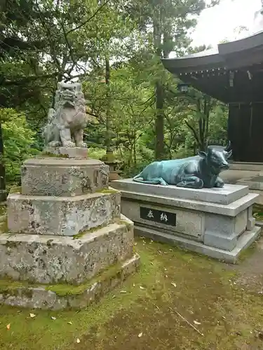 江沼神社の狛犬