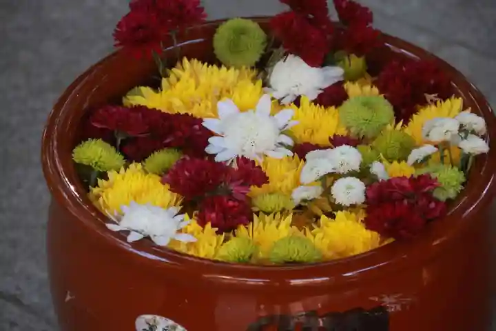 滑川神社 - 仕事と子どもの守り神の手水舎