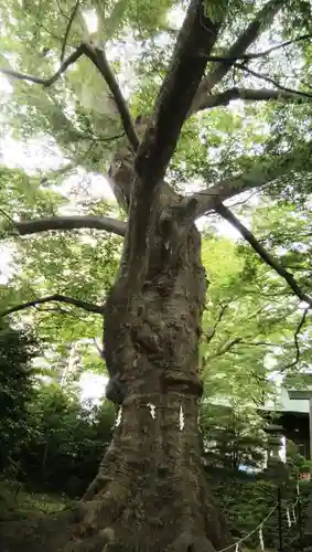 愛宕神社(福島県)