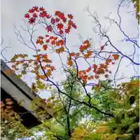 彌彦神社 (伊夜日子神社)(北海道)