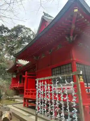 江島神社のおみくじ