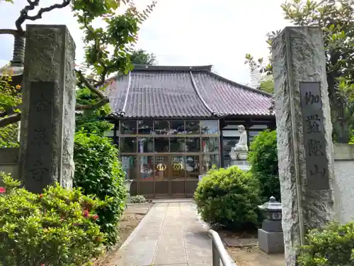 金泉寺の山門