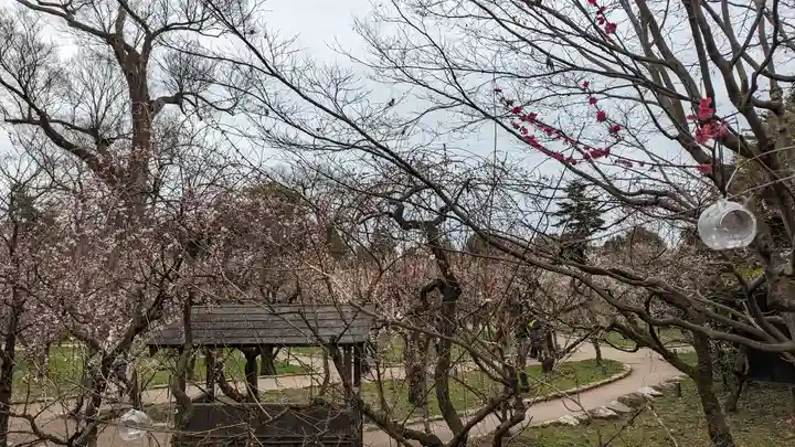 北野天満宮(京都府)