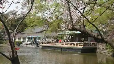 鶴岡八幡宮(神奈川県)
