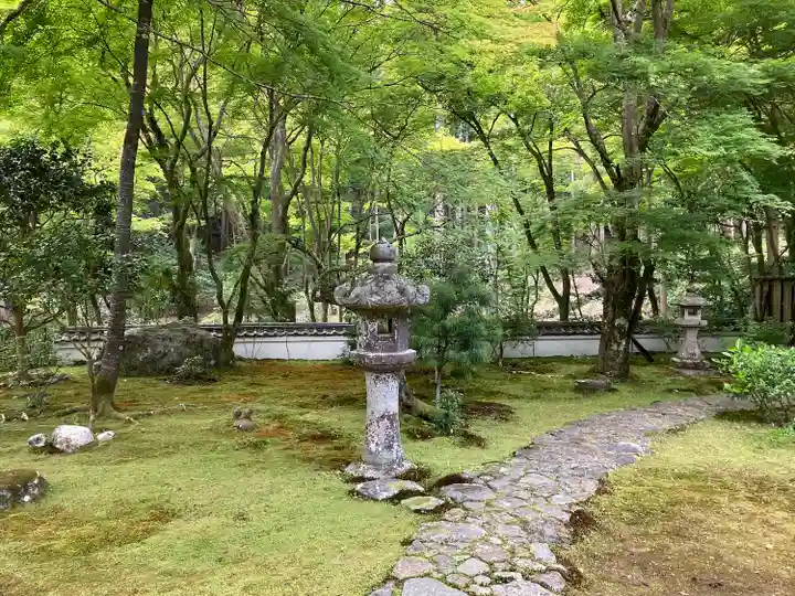 高山寺の庭園