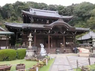 三室戸寺の本殿・本堂