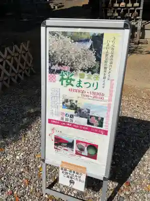 上地八幡宮のお祭り