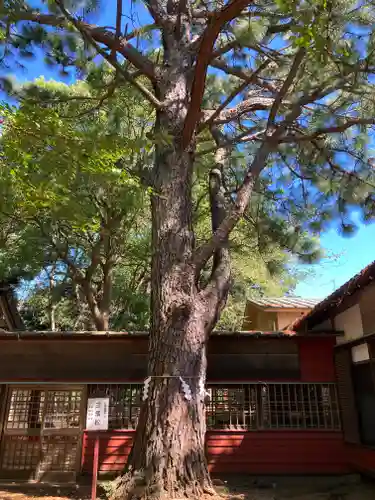 前原御嶽神社(千葉県)