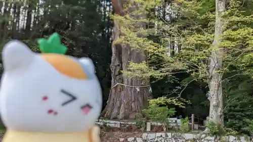 飛龍八幡宮(山口県)