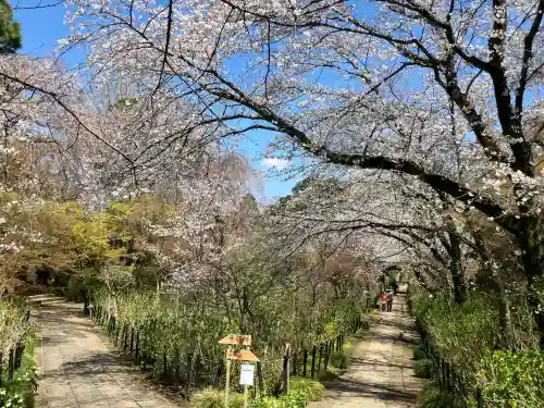 本土寺(千葉県)