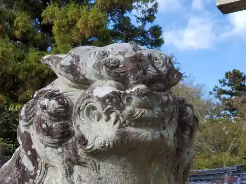 活津彦根神社の狛犬