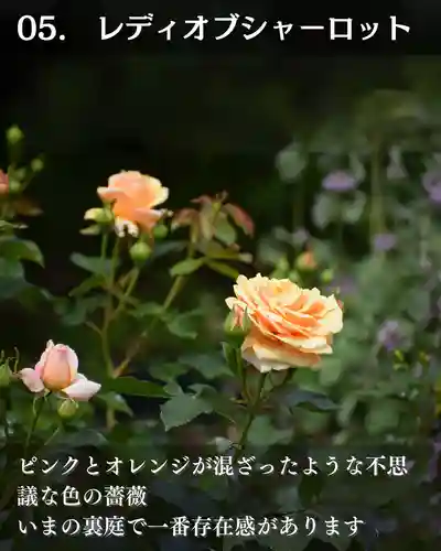 宝光寺(北海道)