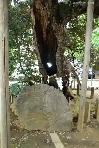 金王八幡宮のその他建物