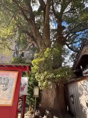 菅生神社(愛知県)