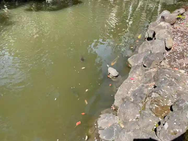 七渡神社(七渡弁天社)(東京都)