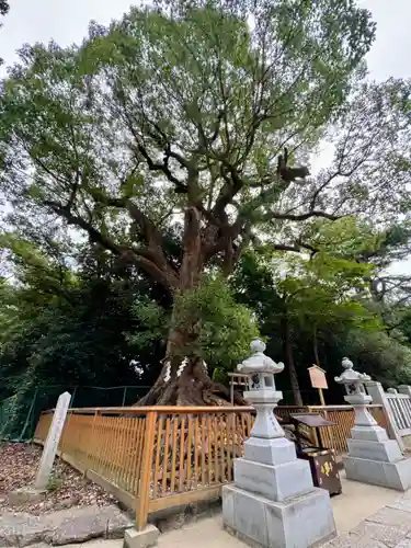 和泉國一之宮　大鳥大社(大阪府)