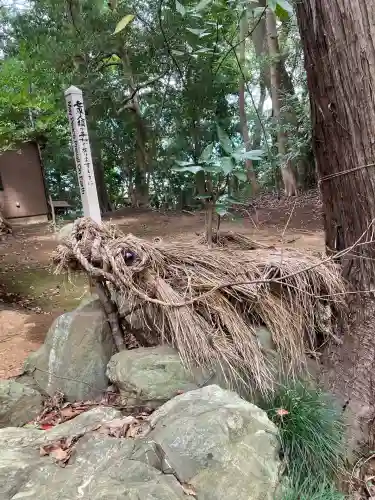 氷川女體神社(埼玉県)