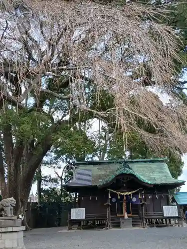 三島八幡神社(福島県)