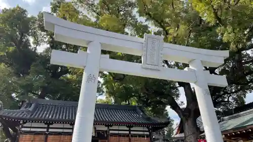阿保神社(大阪府)