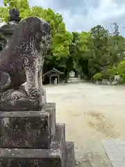 錦織神社(大阪府)