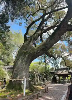 事任八幡宮(静岡県)