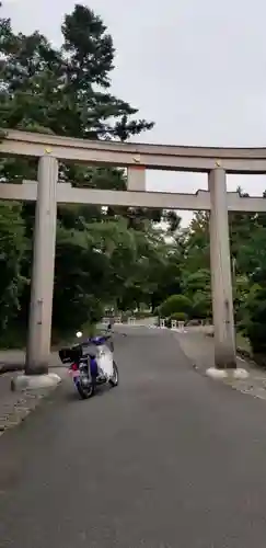 長野縣護國神社の鳥居