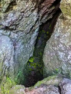 寛永寺別院浅間山観音堂の自然