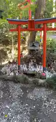 白笹稲荷神社の鳥居