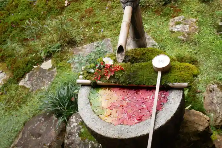 柳谷観音 楊谷寺の手水舎