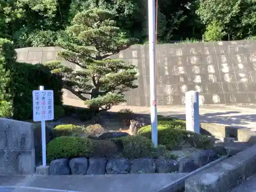 白山宮のその他建物