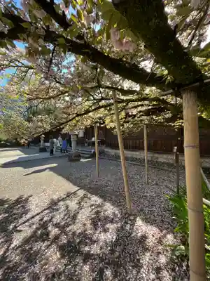 平野神社(京都府)