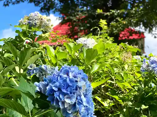 天照皇大神宮の自然