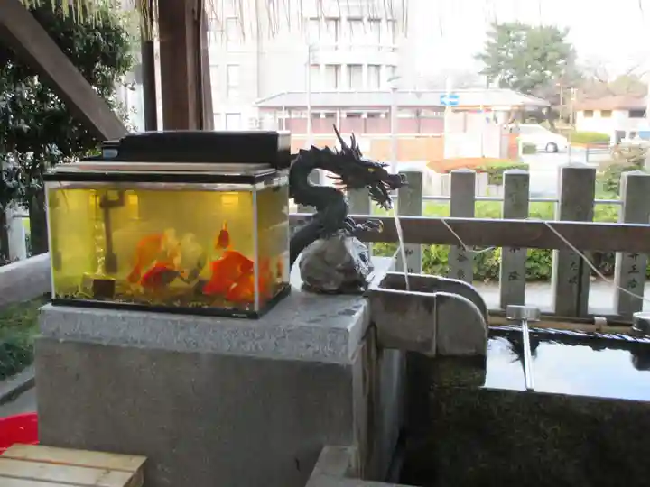 出町妙音堂の手水舎