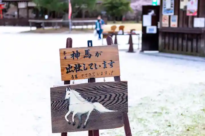 賀茂別雷神社(上賀茂神社)(京都府)