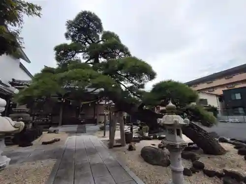 瑞光寺の庭園