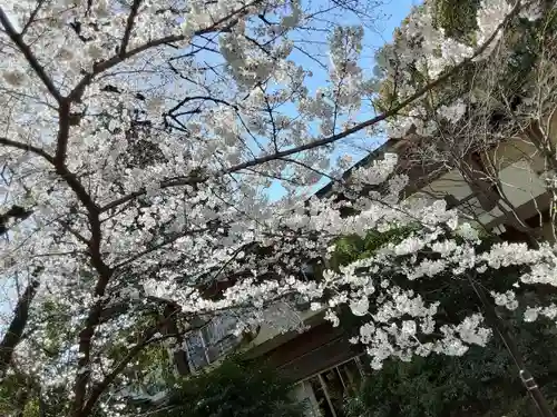 阿佐ヶ谷神明宮(東京都)